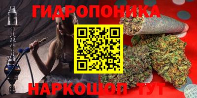 гидра Донецк