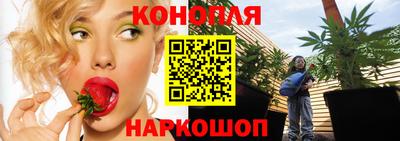 гидропоника Жуковский