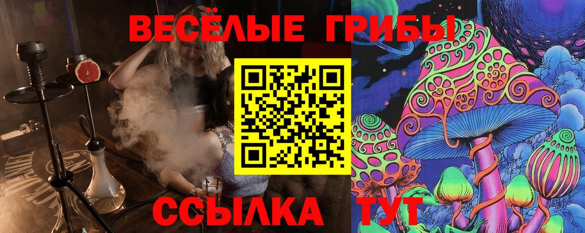 дарнет шоп  Галлюциногенные грибы Psilocybe  Вход с VPN  Медногорск 
