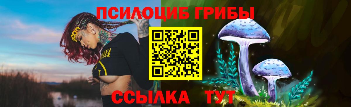 Псилоцибиновые грибы GOLDEN TEACHER Медногорск