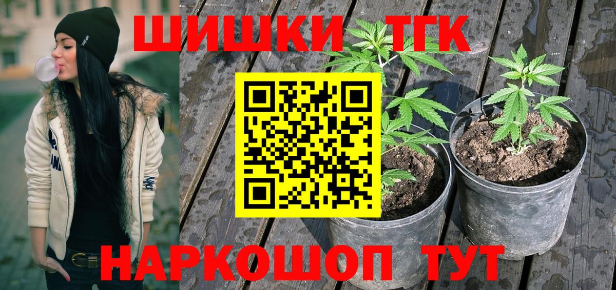 Каннабис планчик  Вход с VPN  Конопля сатива  Марихуана тримм  Медногорск 